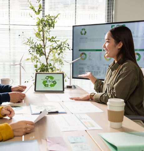 Strategic Investment